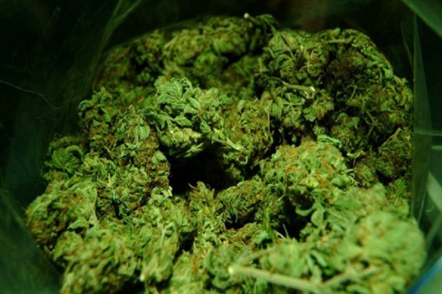 Lume Cannabis