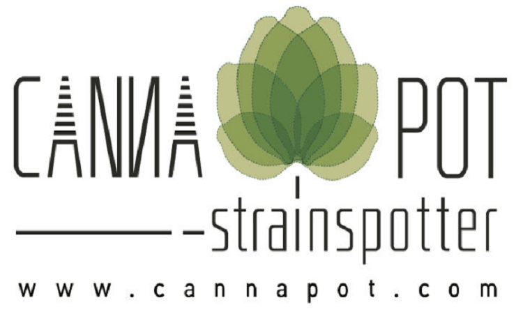cannapot backlinks