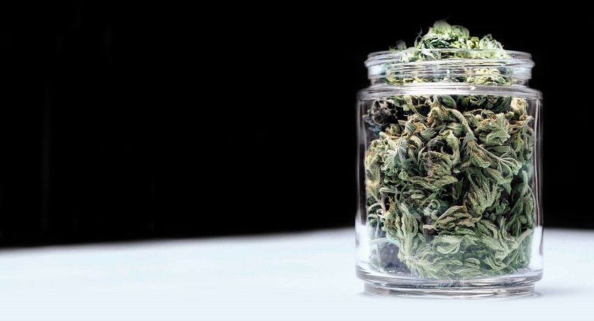 cannabis delivery Orange County