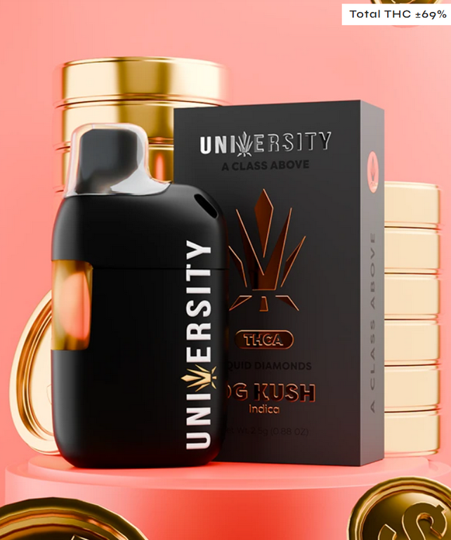 Best disposable vapes