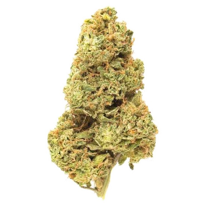 Kenevir tohumu satın al