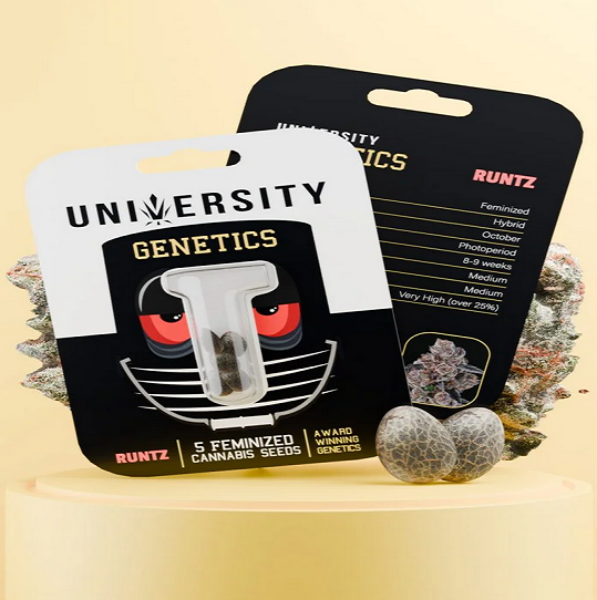 A Calm, Practical Guide to Buying Cannabis Seeds From Trap University