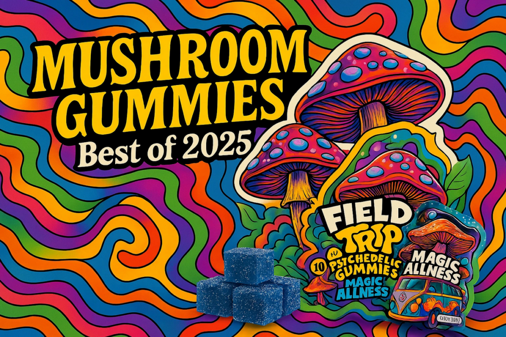 Best mushroom gummies: A Calm, Practical Buyer Guide